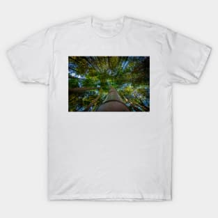 Look Up T-Shirt